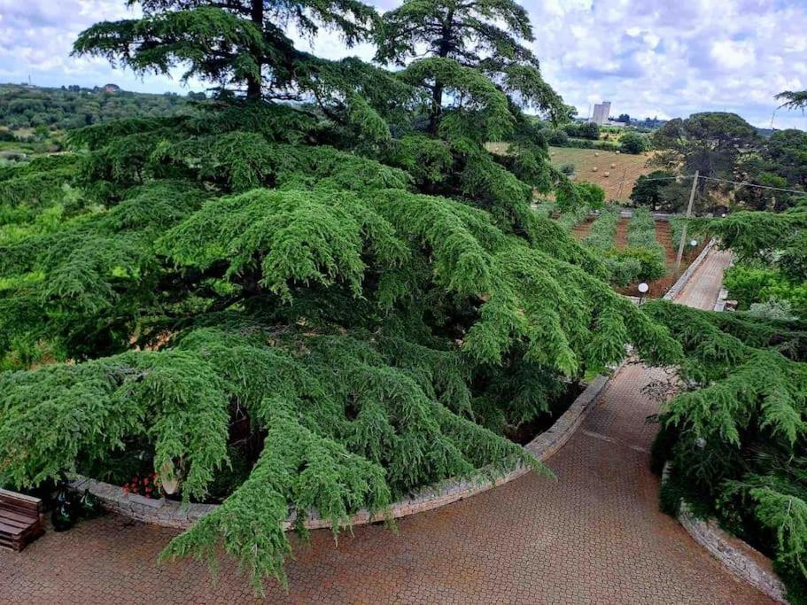 Ferienwohnung Casina Foggia Dell'Albero Putignano Exterior foto