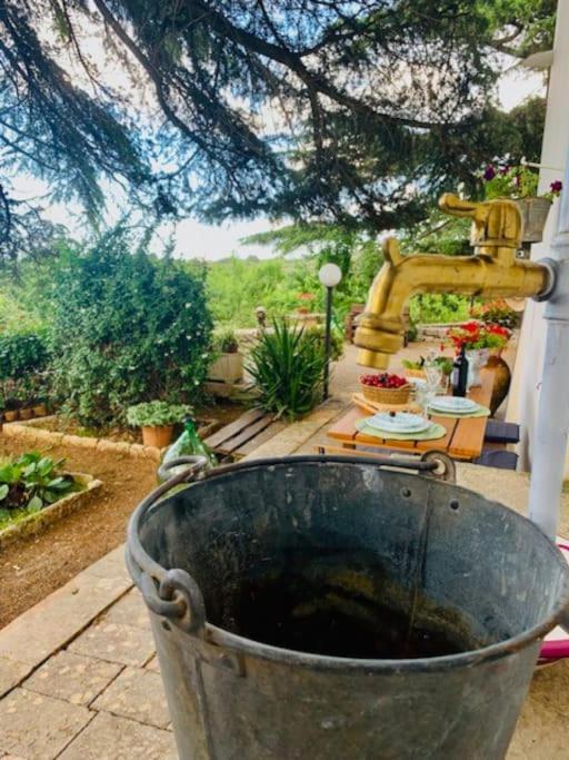 Ferienwohnung Casina Foggia Dell'Albero Putignano Exterior foto